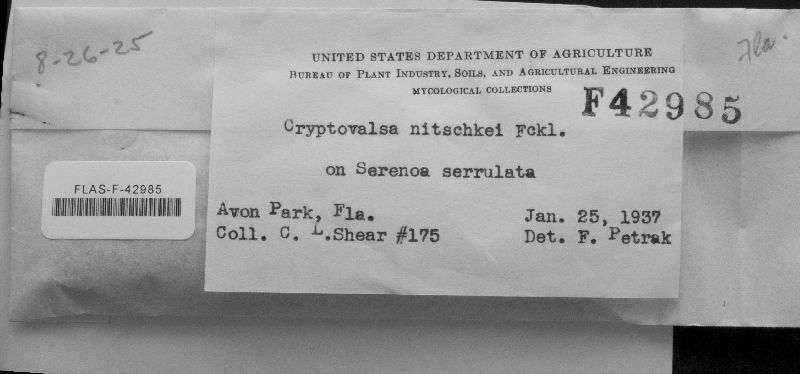 Cryptovalsa image