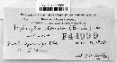 Hypoxylon tinctor image