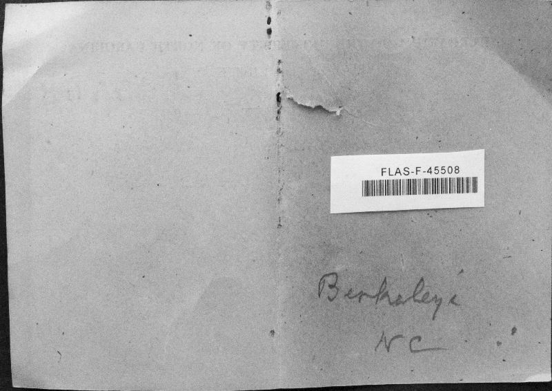 Boletinus berkeleyi image
