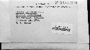 Bremia lactucae image
