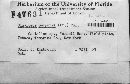 Claviceps purpurea image
