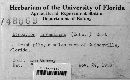 Hypoxylon investiens image