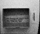Metatrichia vesparium image
