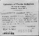Image of Dichotomocladium floridanum