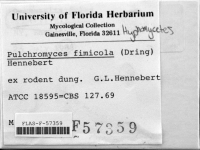 Pulchromyces fimicola image