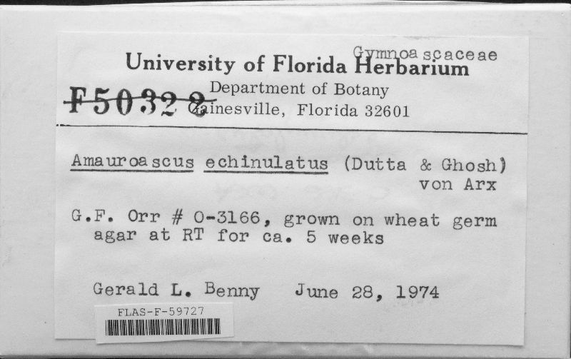 Onygenaceae image