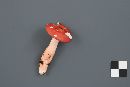 Russula peckii image