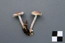 Inocybe lilacina image