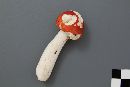 Russula praeumbonata image