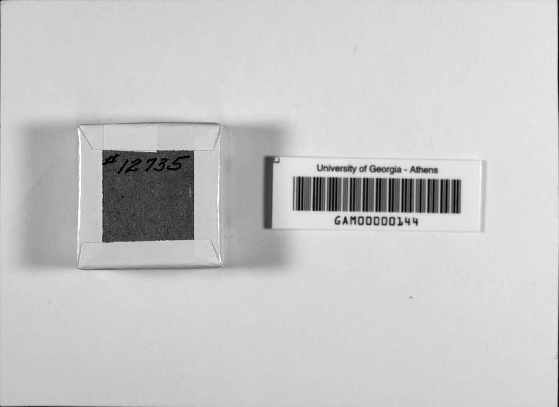 Ascosphaera apis image