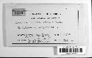 Claviceps tripsaci image
