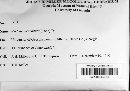 Neonectria fuckeliana image