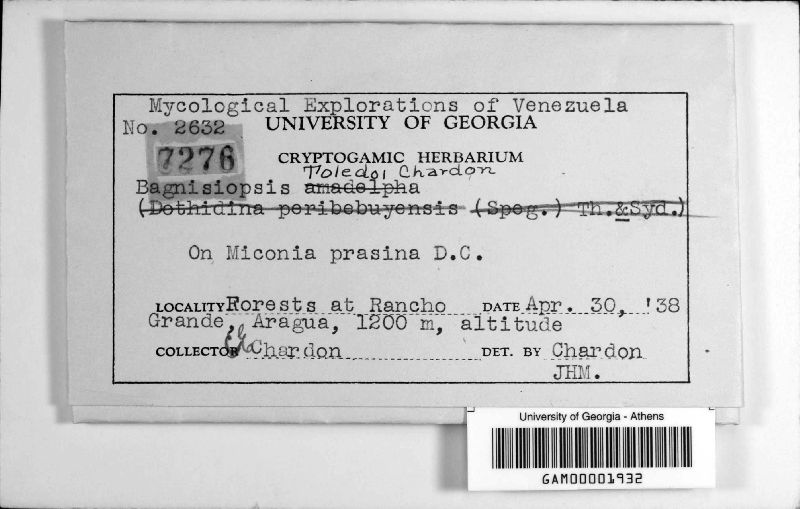 Coccodiella toledoi image