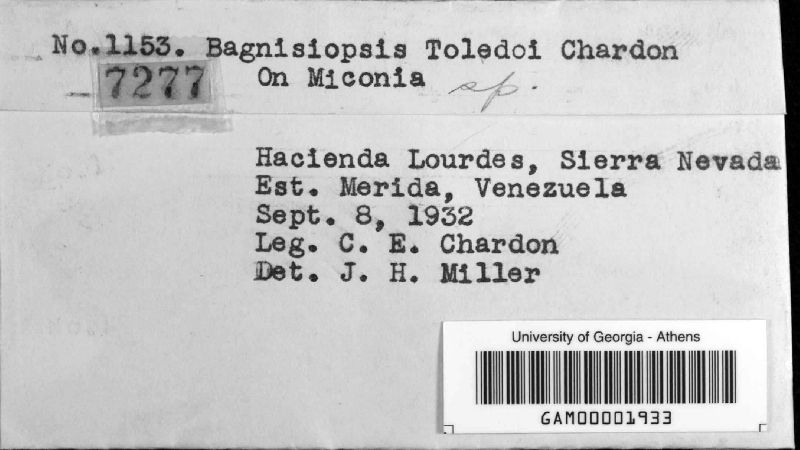 Coccodiella toledoi image