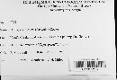 Diatrype virescens image