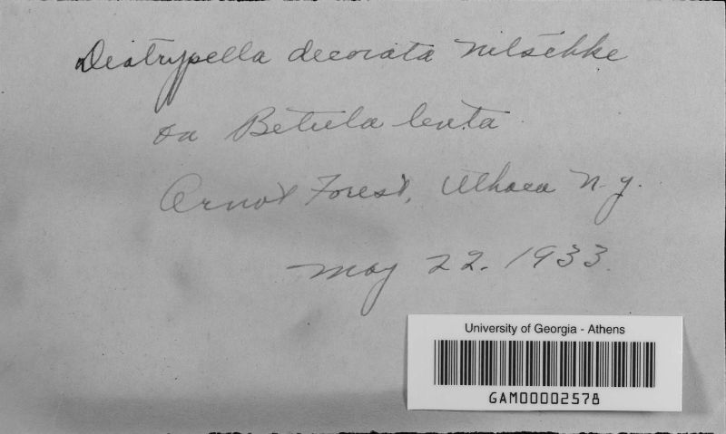 Diatrypella image