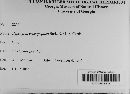Hypoxylon crocopeplum image