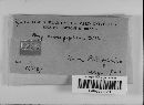 Hypoxylon crocopeplum image