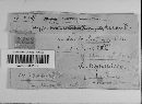 Hypoxylon crocopeplum image