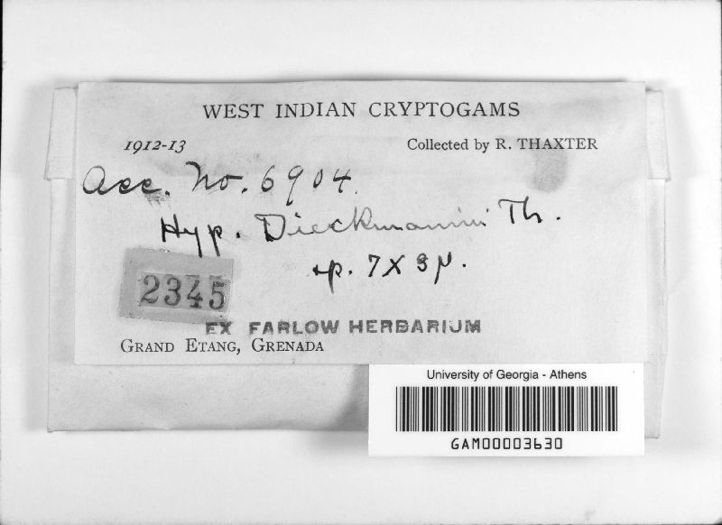 Hypoxylon dieckmannii image
