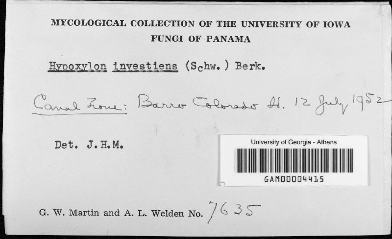 Hypoxylon investiens image