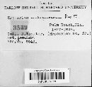 Hypoxylon rubiginosum image