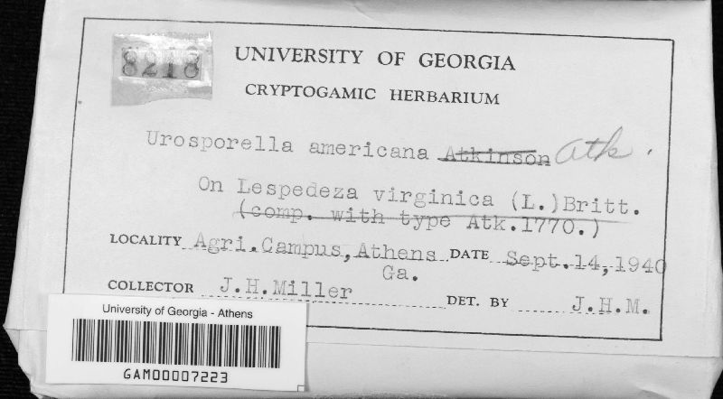 Urosporella americana image