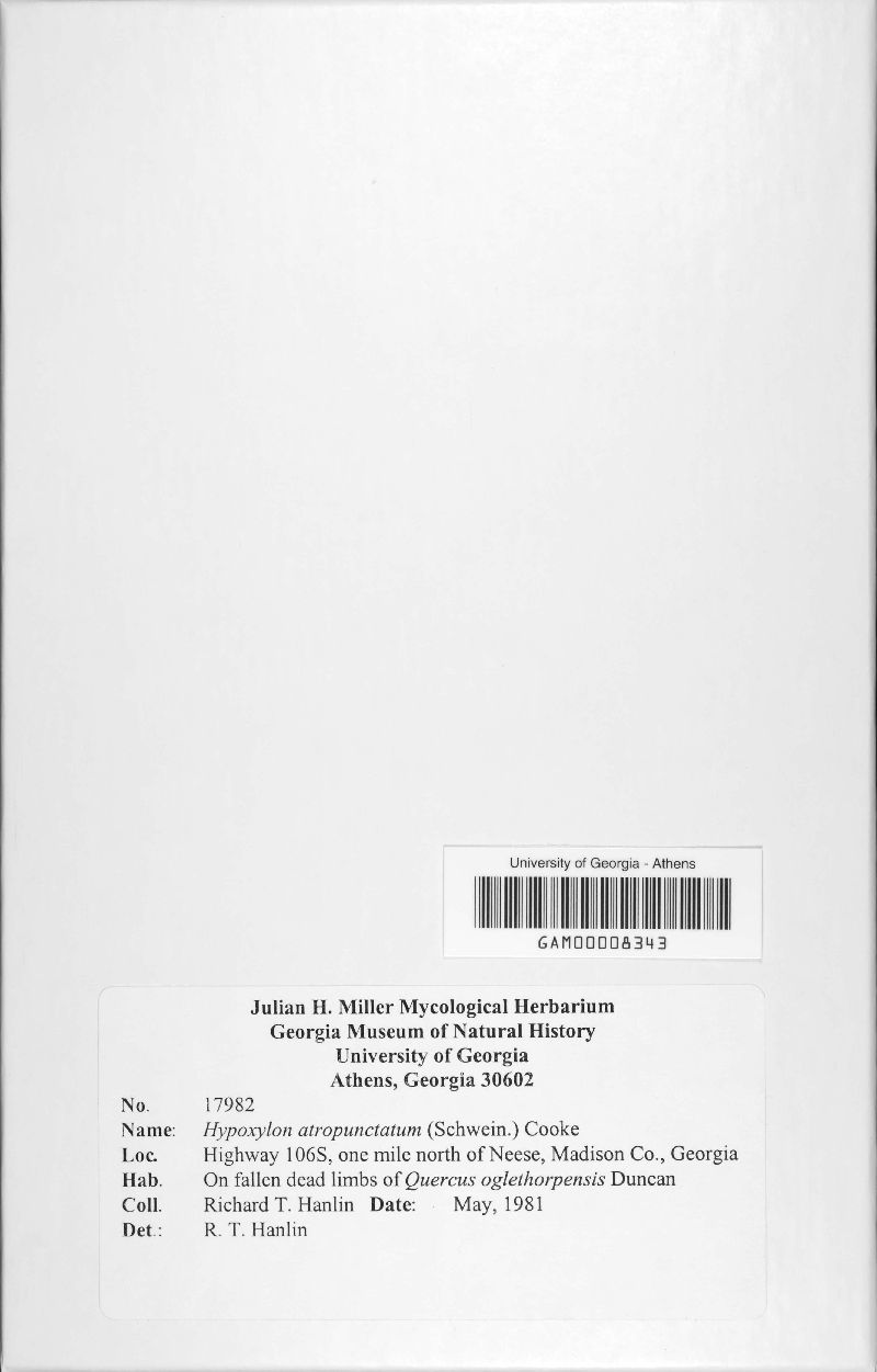 Biscogniauxia atropunctata var. atropunctata image