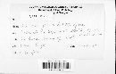 Blumeria graminis image