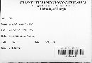 Blumeria graminis image