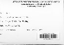 Blumeria graminis image