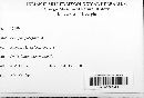 Erysiphe polygoni image
