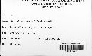 Microsphaera quercina image