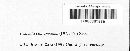 Pezicula cinnamomea image