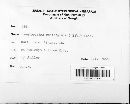 Pseudopeziza medicaginis image