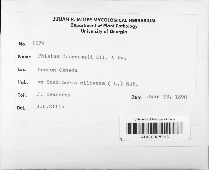 Phialea dearnessii image