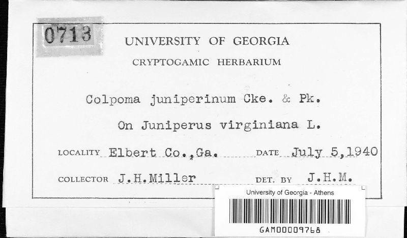 Coccomyces petersii image