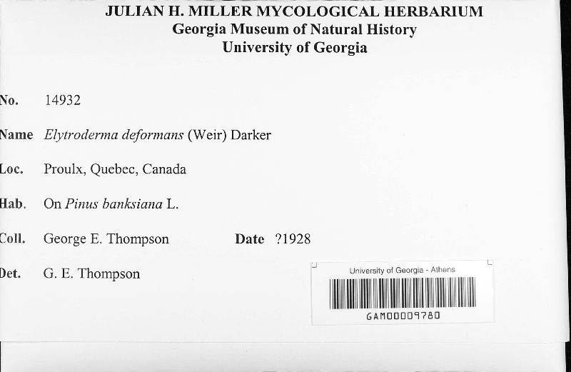 Elytroderma deformans image