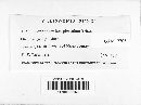 Lophodermium pinicola image
