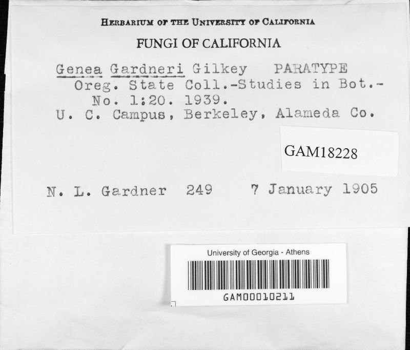 Genea gardneri image