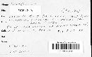 Scutellinia balansae image