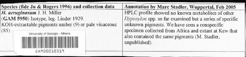 Hypoxylon aeruginosum image