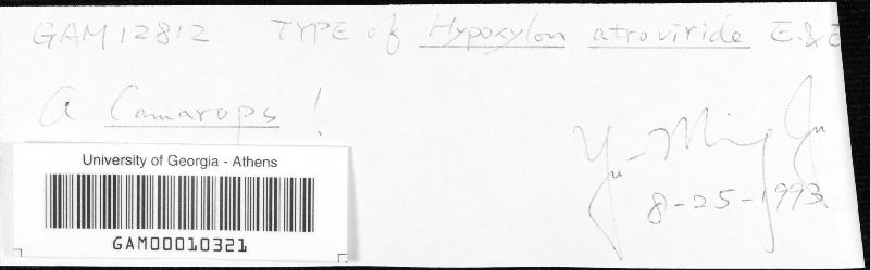 Hypoxylon atroviride image