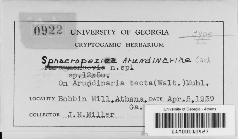 Eupropolella arundinariae image