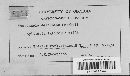 Doassansiopsis deformans image
