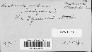 Kuehneola uredinis image