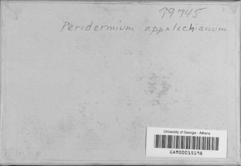 Peridermium appalachianum image
