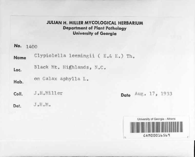 Clypeolella leemingii image
