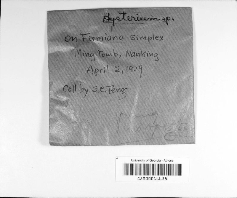 Colpoma image