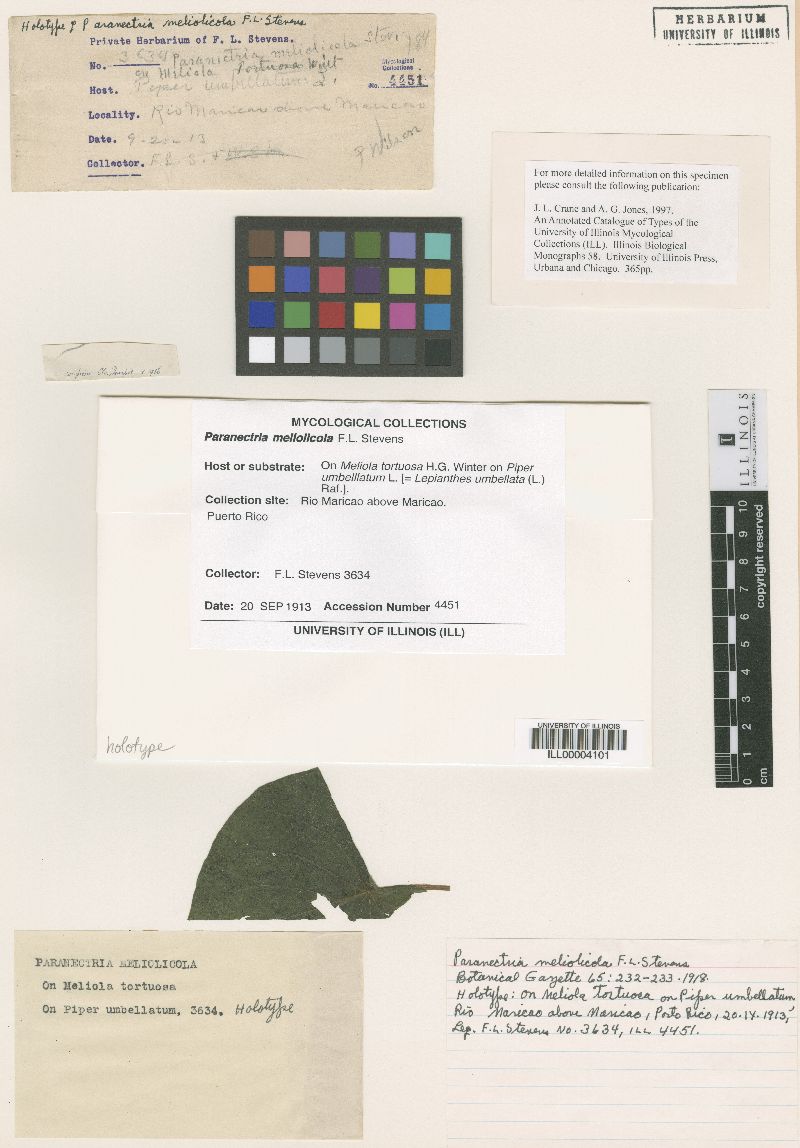Paranectriella image